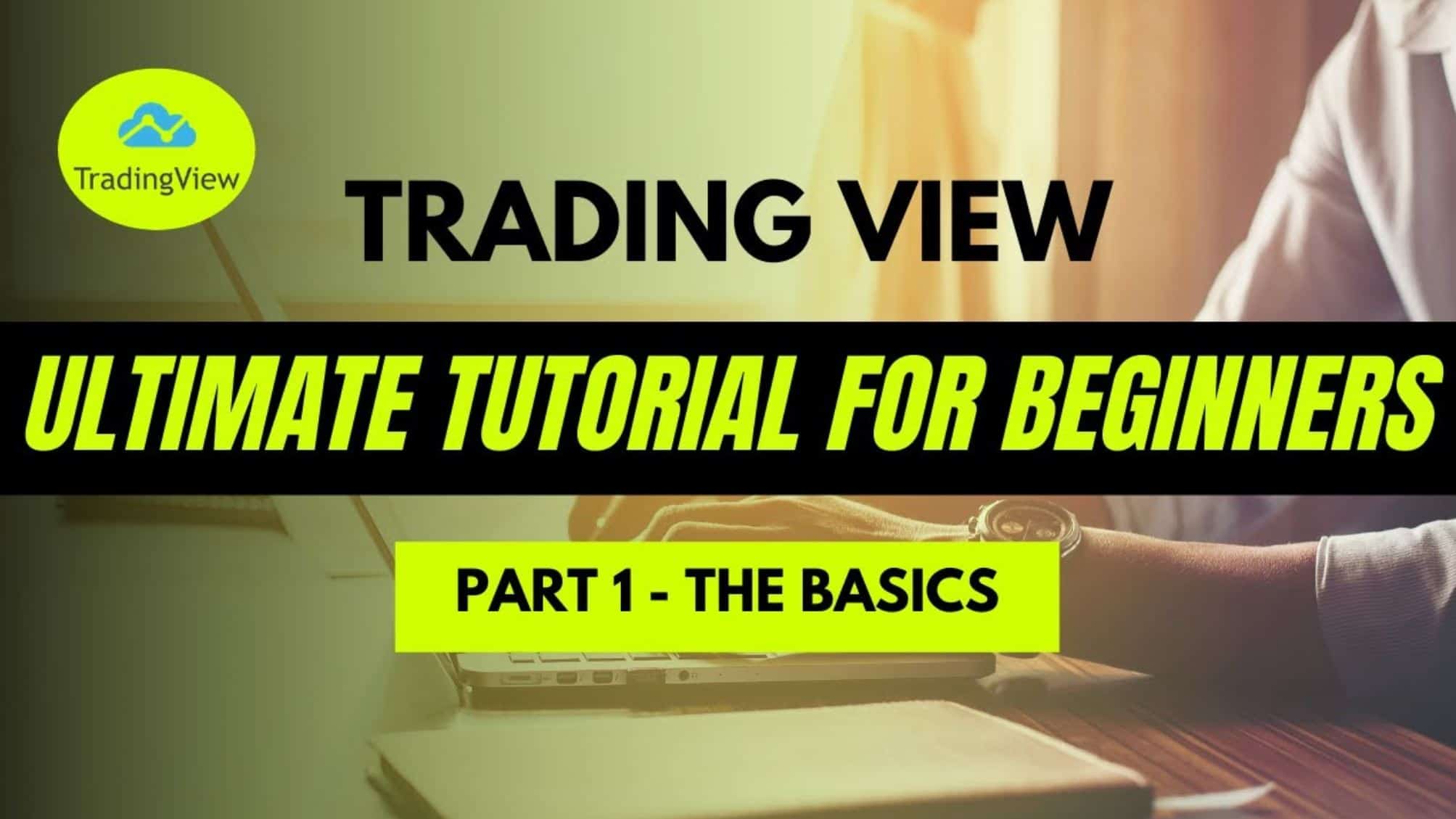 bird view trading