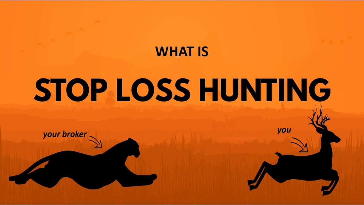 What is Stop Loss Hunting ? - VRD Nation